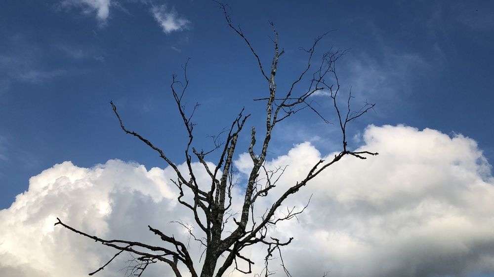 Photograph by Анастасия Кобелева