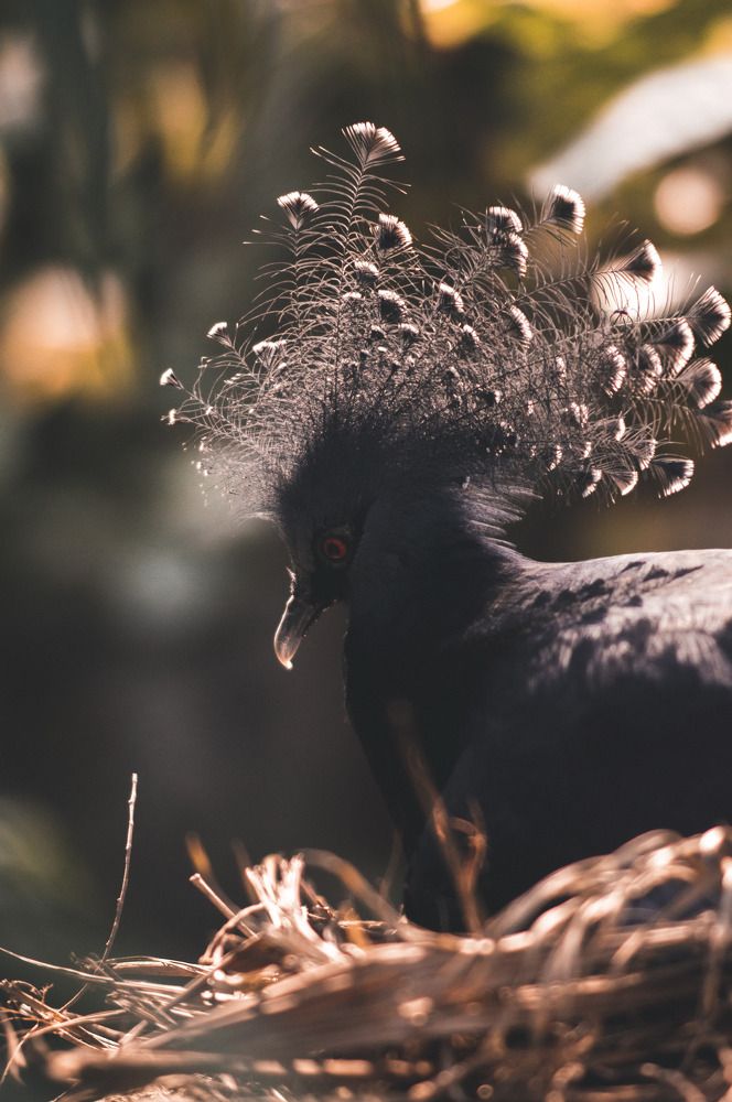 Photograph by Daria Dziedzic