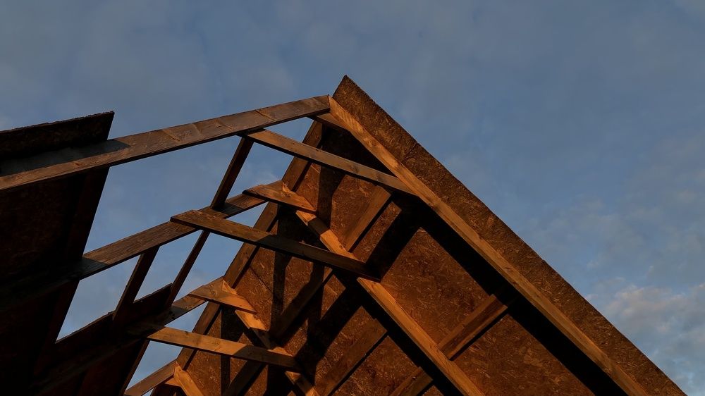 Photograph by Анастасия Кобелева