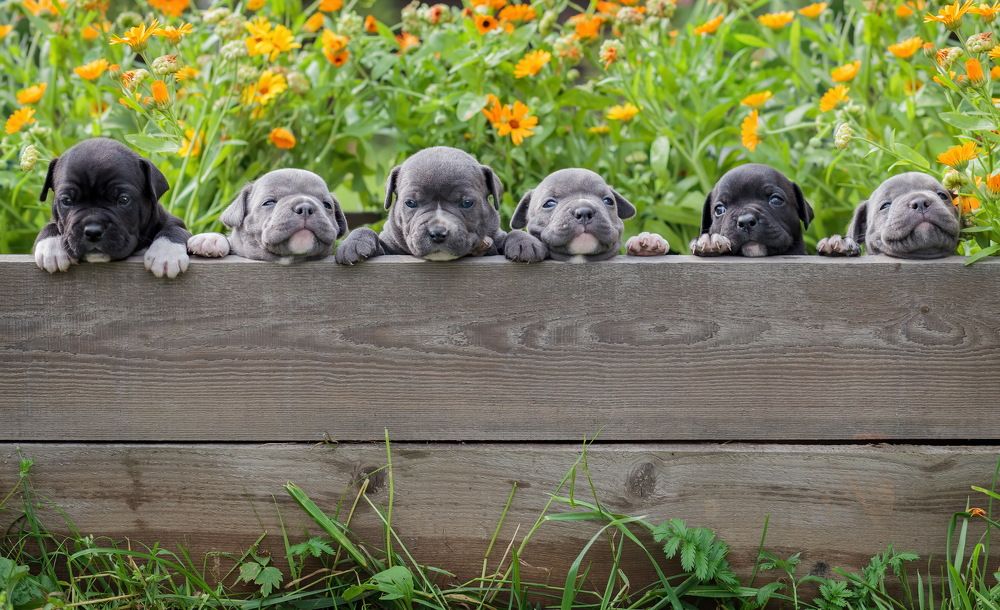 Photograph by Максим Кукурунд