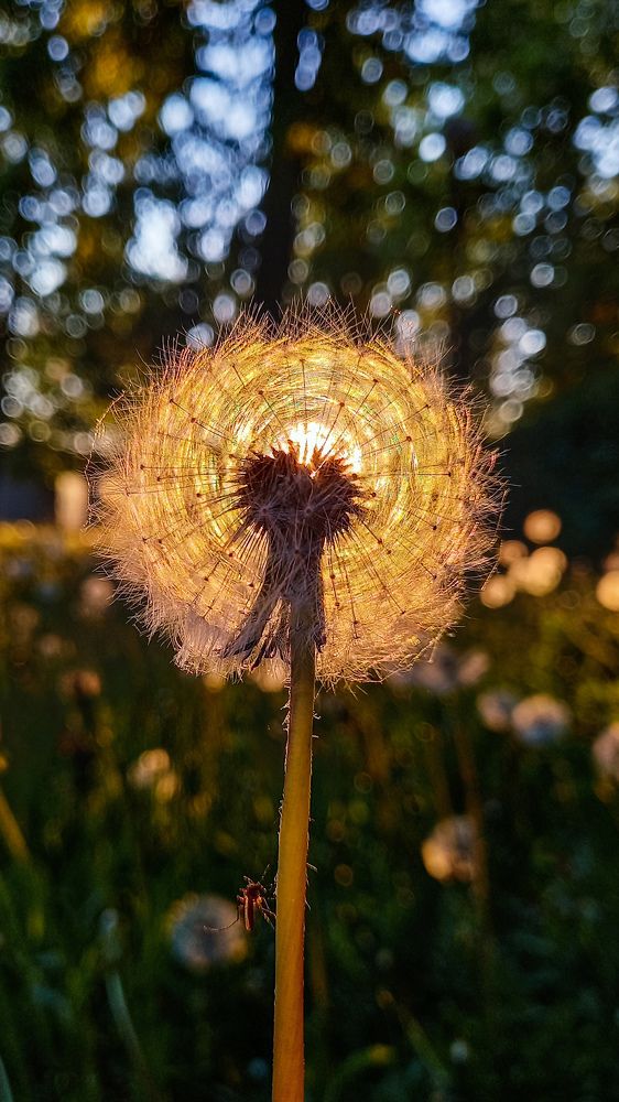 Photograph by Наталья Войтеховская