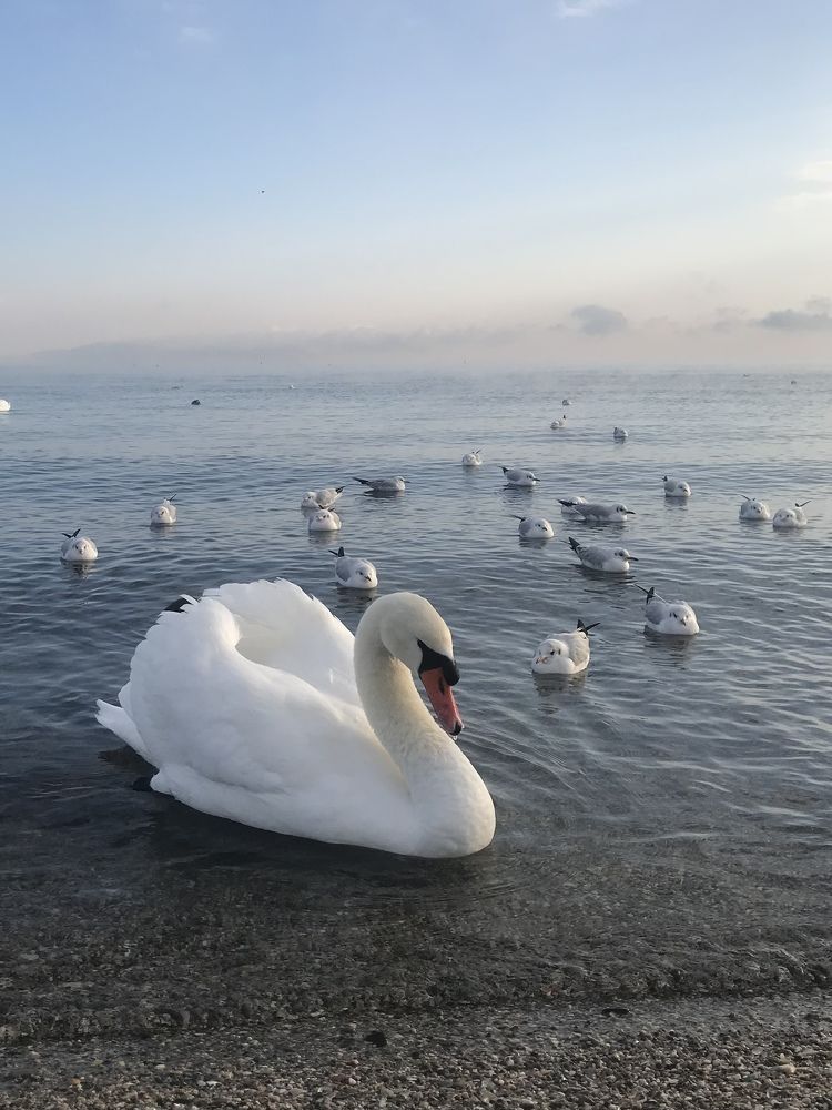 Photograph by Светлана Фесенко