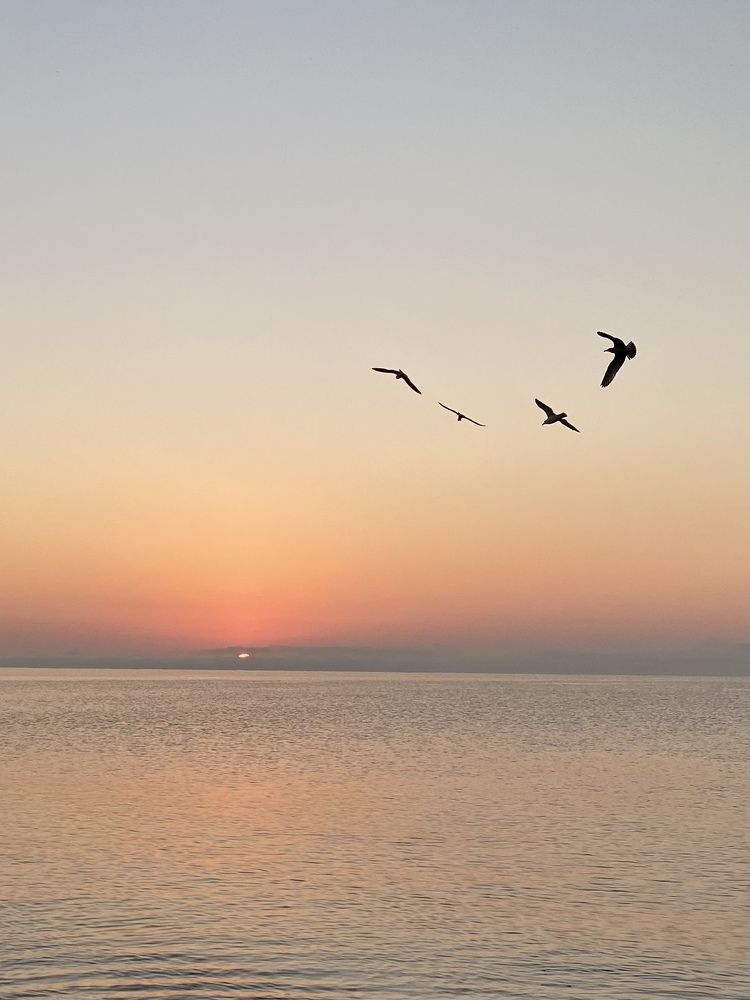 Photograph by Светлана Фесенко