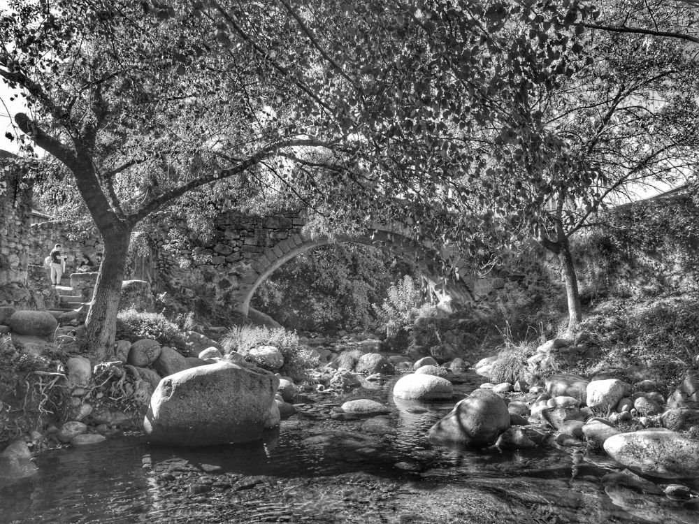 Photograph by Félix Sanchez