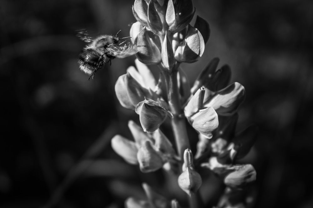 Photograph by Матвей Короткин