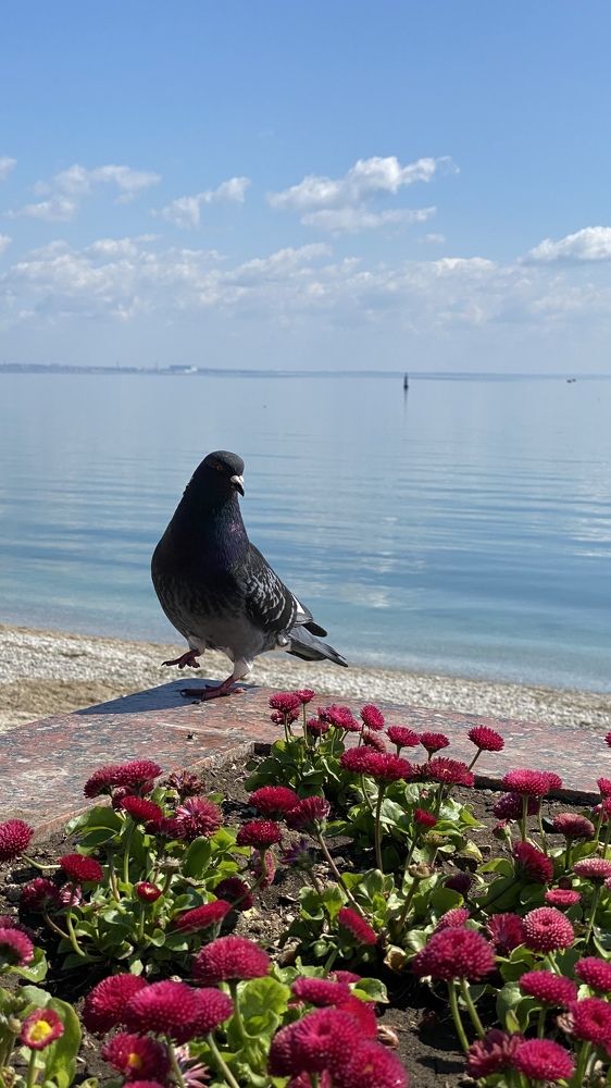 Photograph by Светлана Фесенко