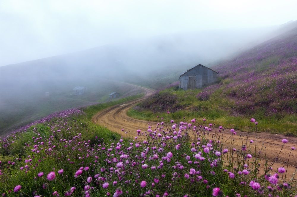 Фотография автора Shahram Hafezi