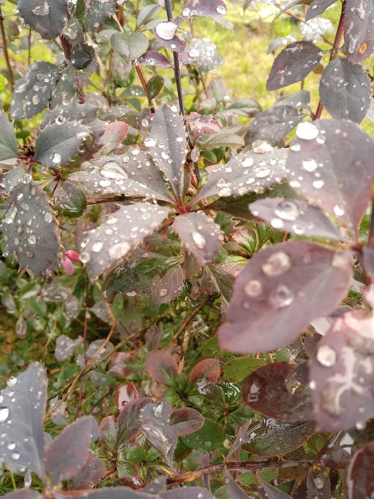 Photograph by Ольга Сафронова