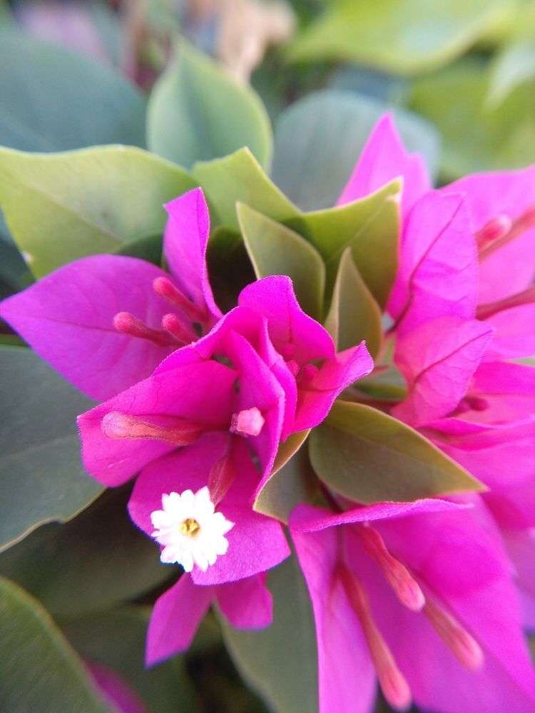 Photograph by Ольга Сафронова