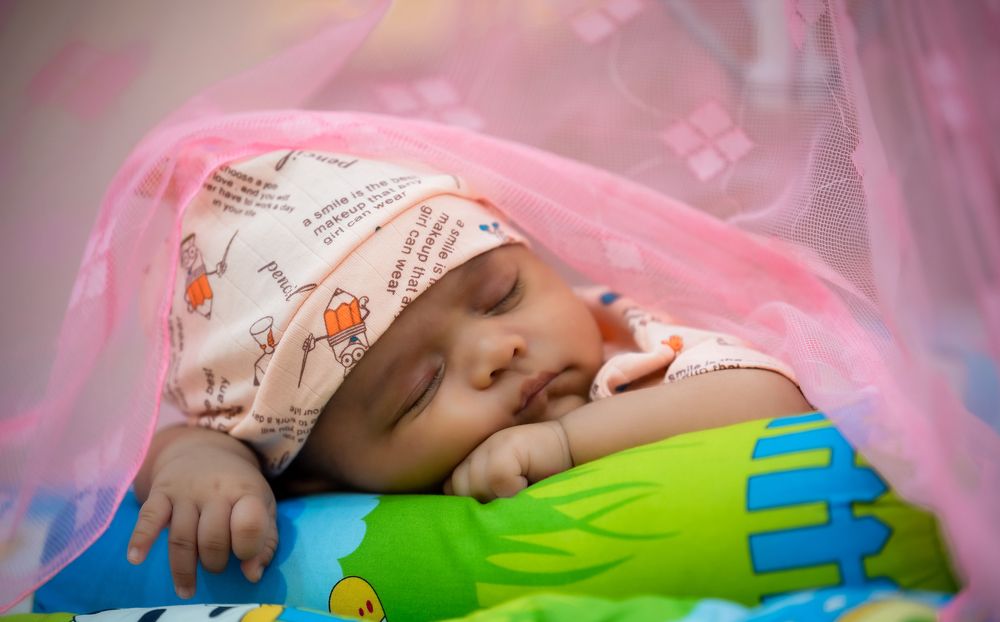 Фотография автора Utathya Roy