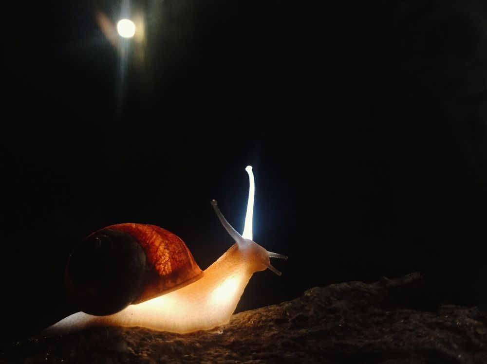 Photograph by Запылаева Анна