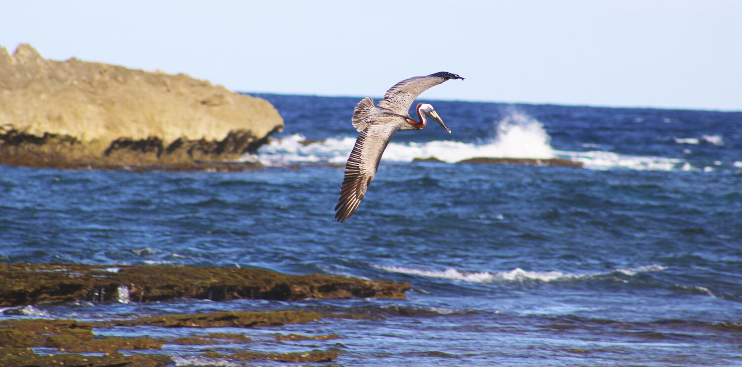Photo #7598281
