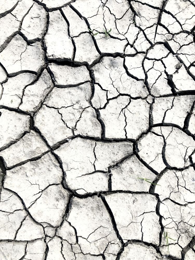 Photograph by Владимир Тетушкин