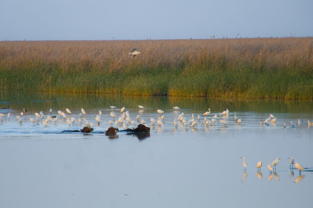 Photograph by Montadher AL-waeil