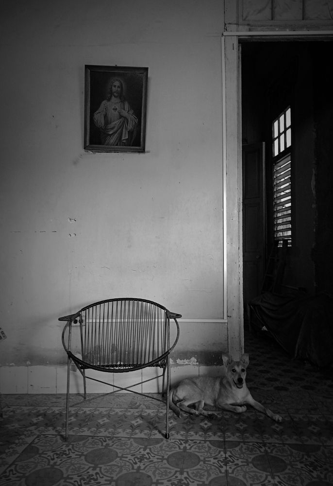 Photograph by William Oceguera