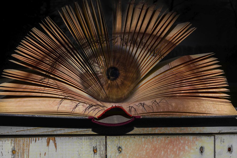 Photograph by Renata Bragatto