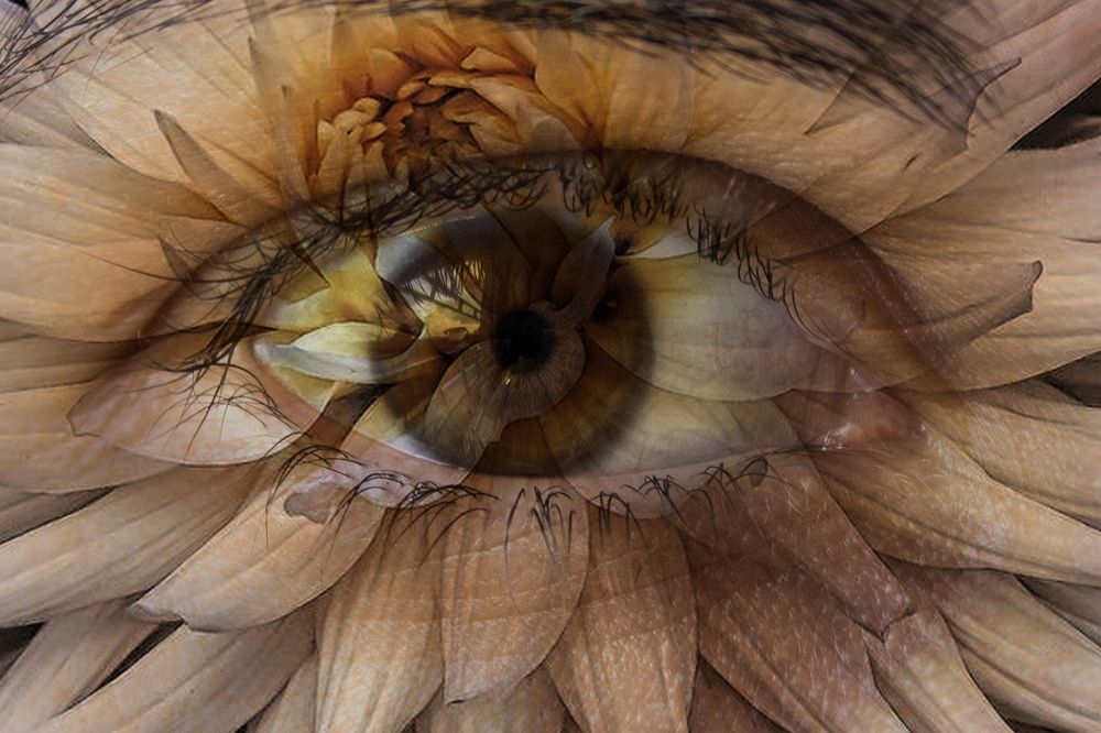 Photograph by Renata Bragatto