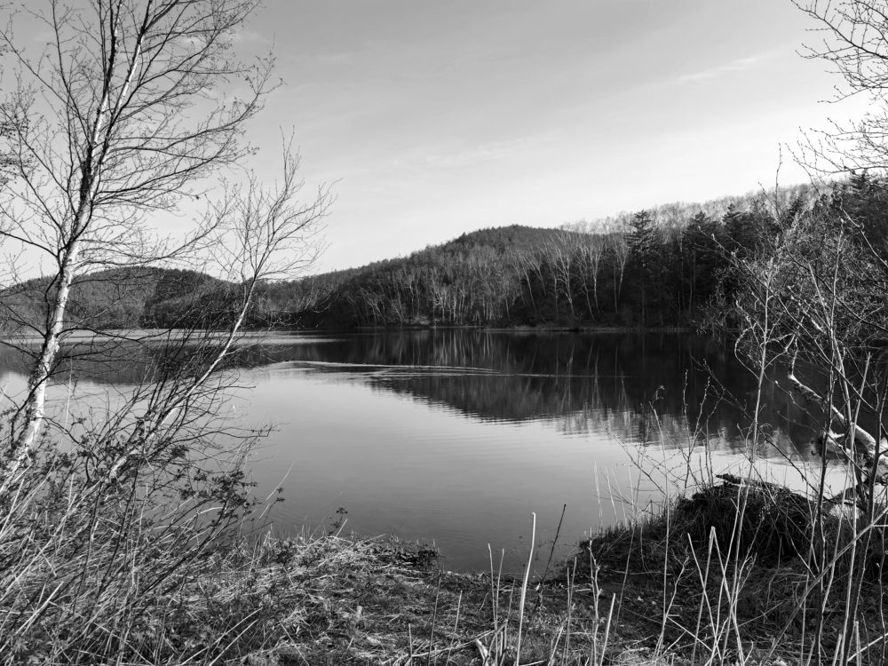 Photograph by Анастасия Терехова