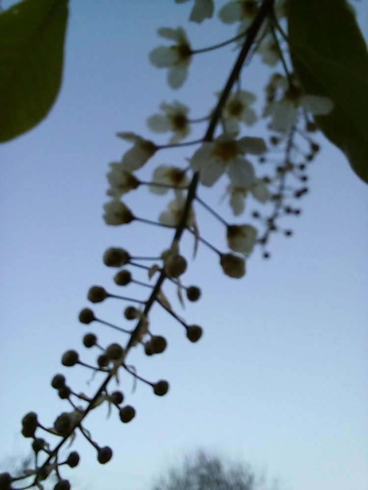 Photograph by Татьяна Собенникова