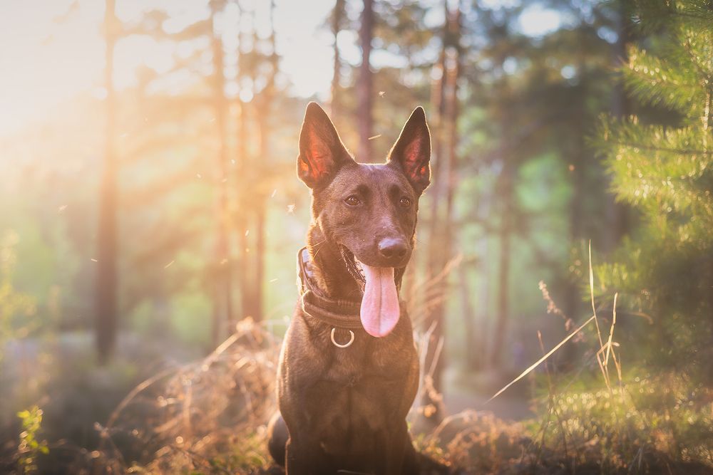 Photograph by Станислав Новокрещенов