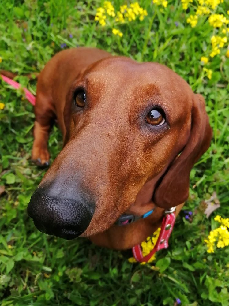 Photograph by Светлана Веселовская