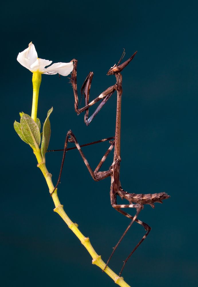 Photograph by Aliakbar Khandan