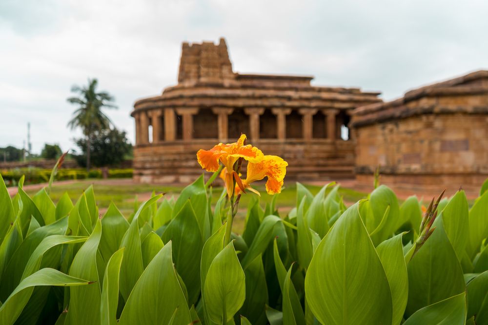 Фотография автора Aniket