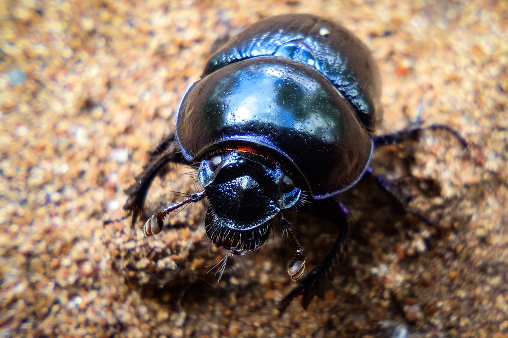 Photograph by Сергей Горбунов