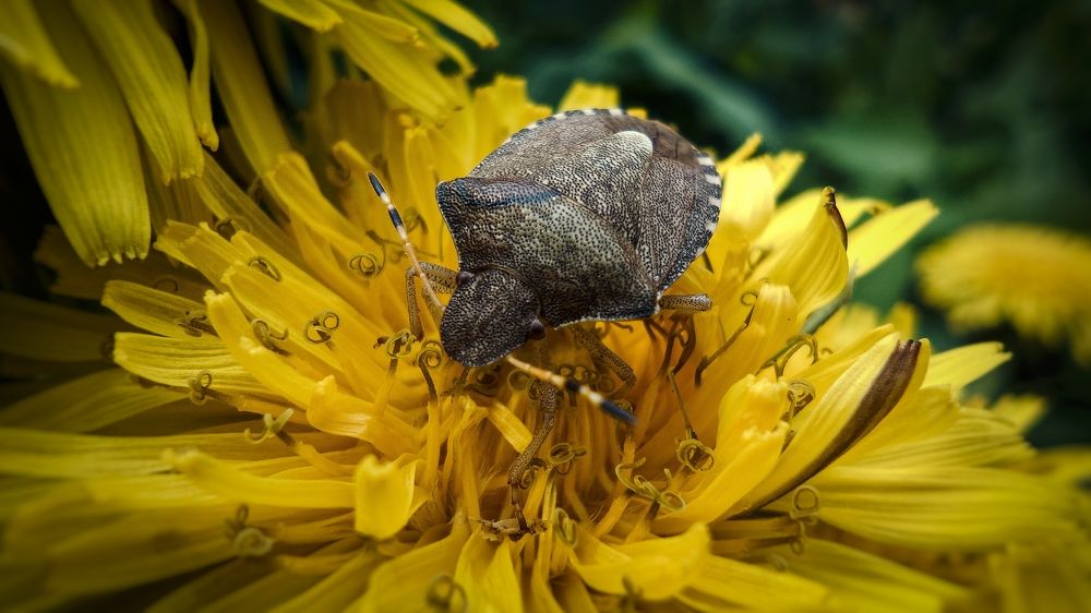 Photograph by Сергей Горбунов