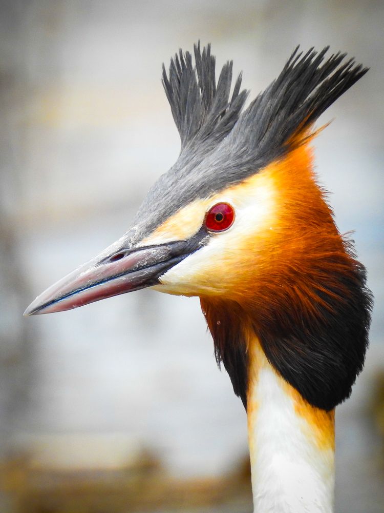 Не выспалась