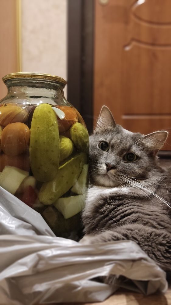 Photograph by Марина Кравцова