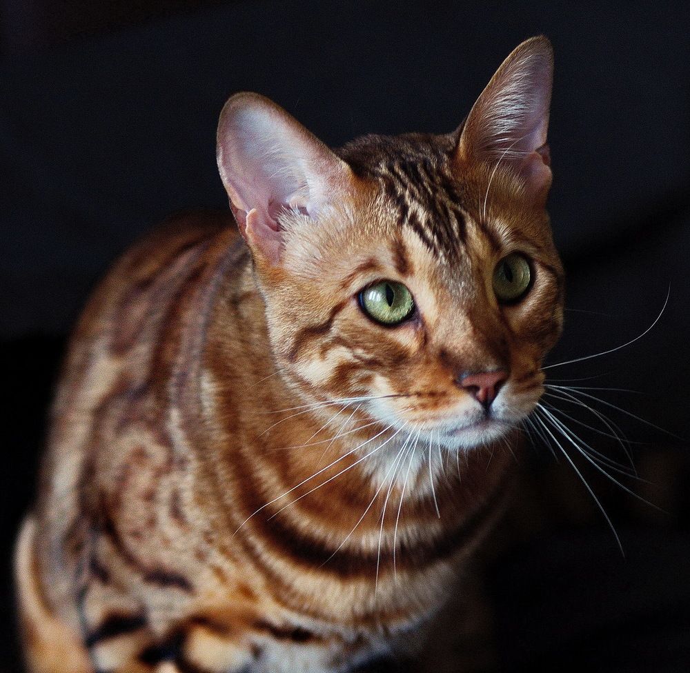 Photograph by Лидия Ушакова