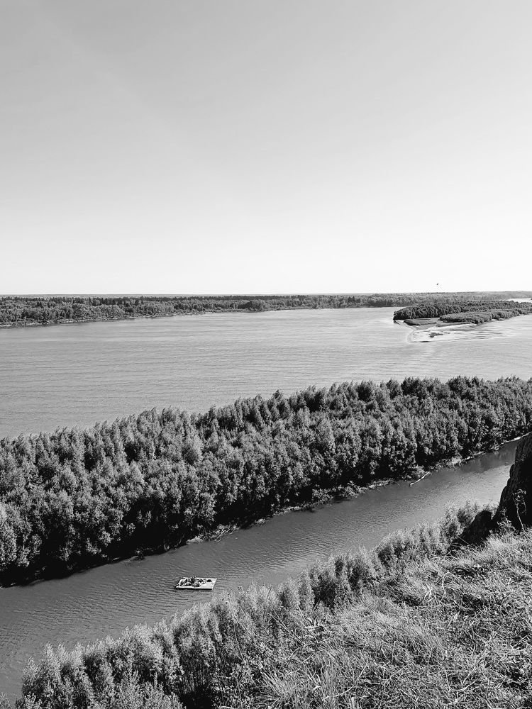 Photograph by Светлана Нестерова