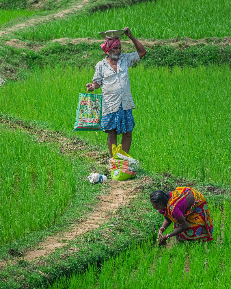 Photograph by Anirban Pan