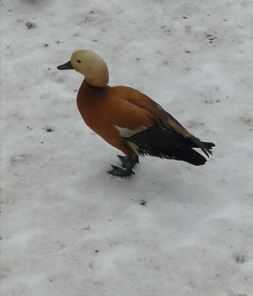 Photograph by Ольга