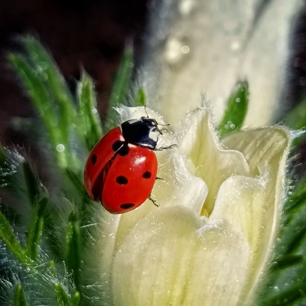 Photograph by Елена Павлова