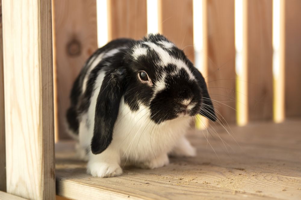 Photograph by Сергей