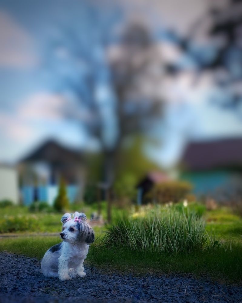 Photograph by Люда Яковлева