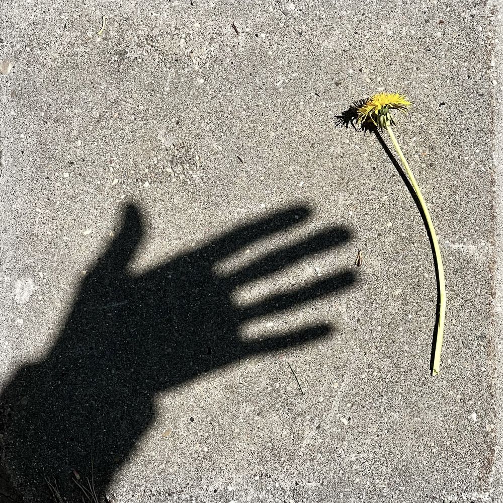 Photograph by Олег Банковский