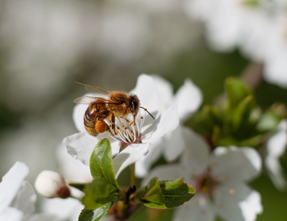 Photograph by Дарья Кончакова