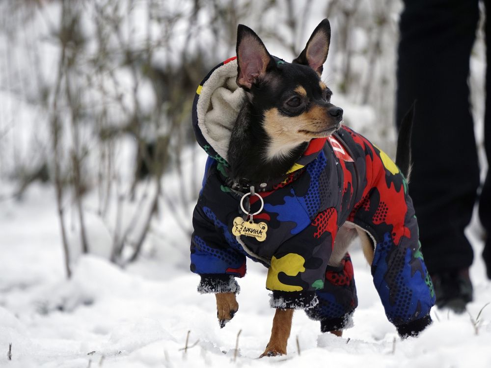 Photograph by Дмитрий Лобанов