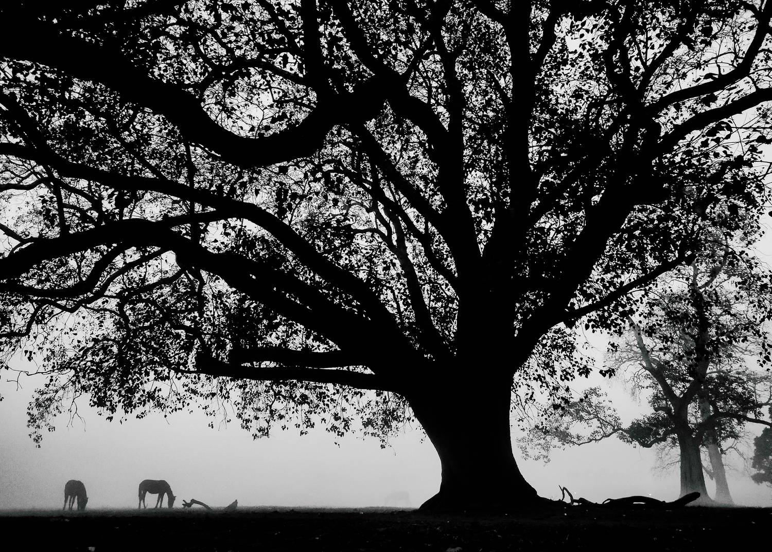Photo #7598913