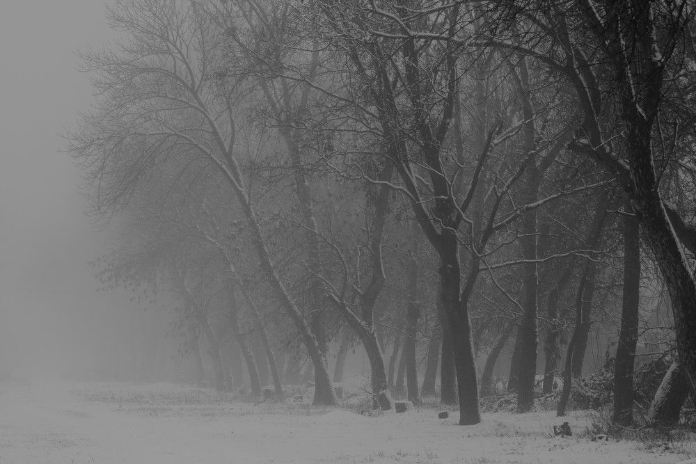 Photograph by Лариса Стрекулева