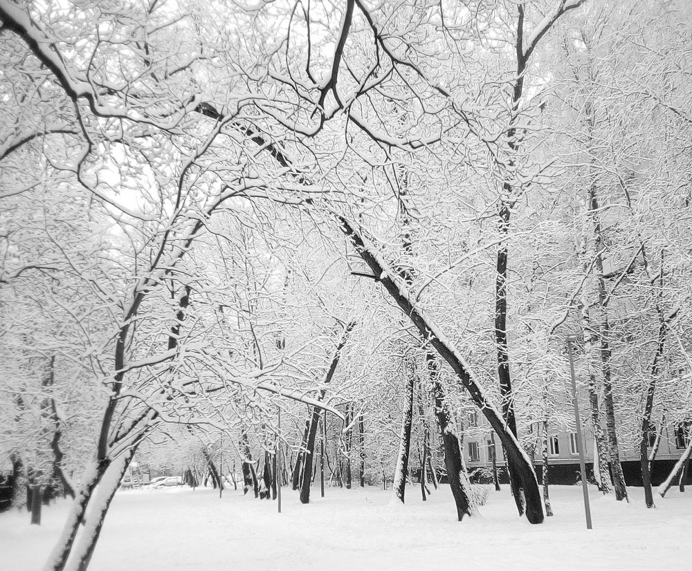 Photograph by Вадим Беляев