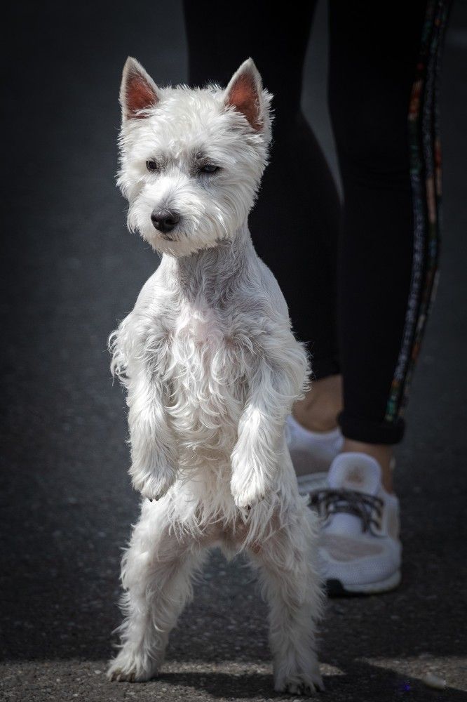 Photograph by Ovidiu Domşa