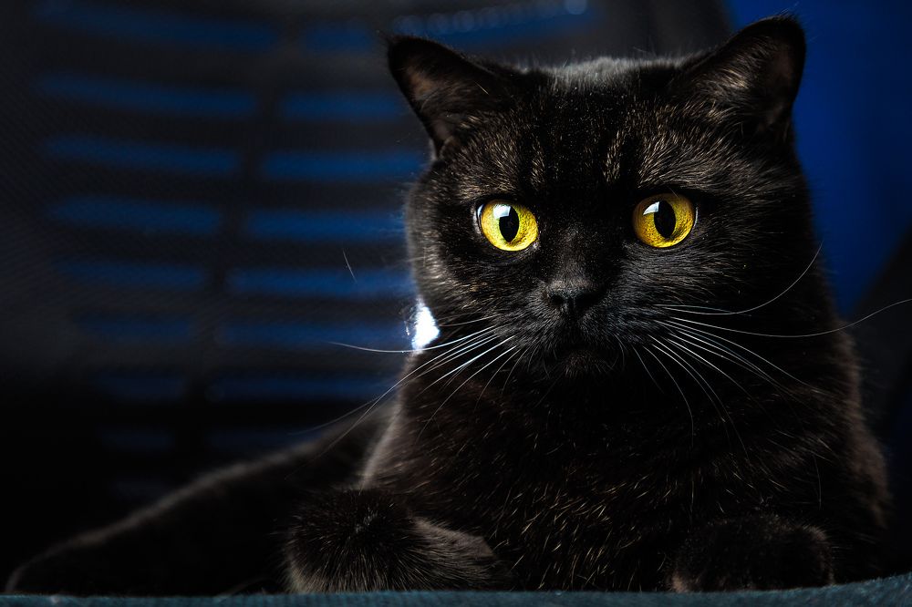 Photograph by Григорьев Денис