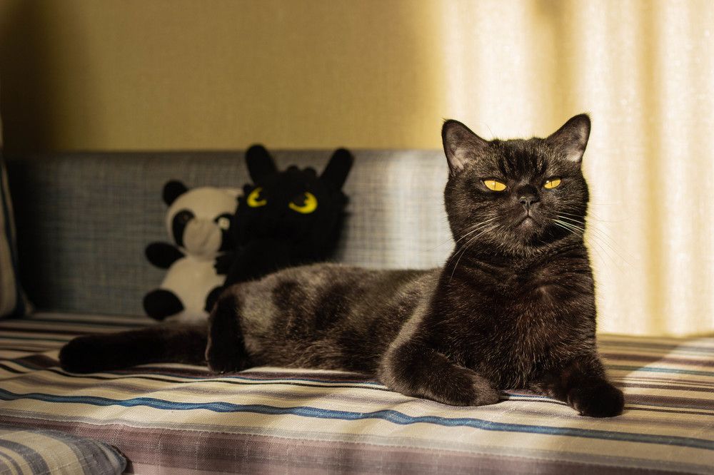 Photograph by Григорьев Денис