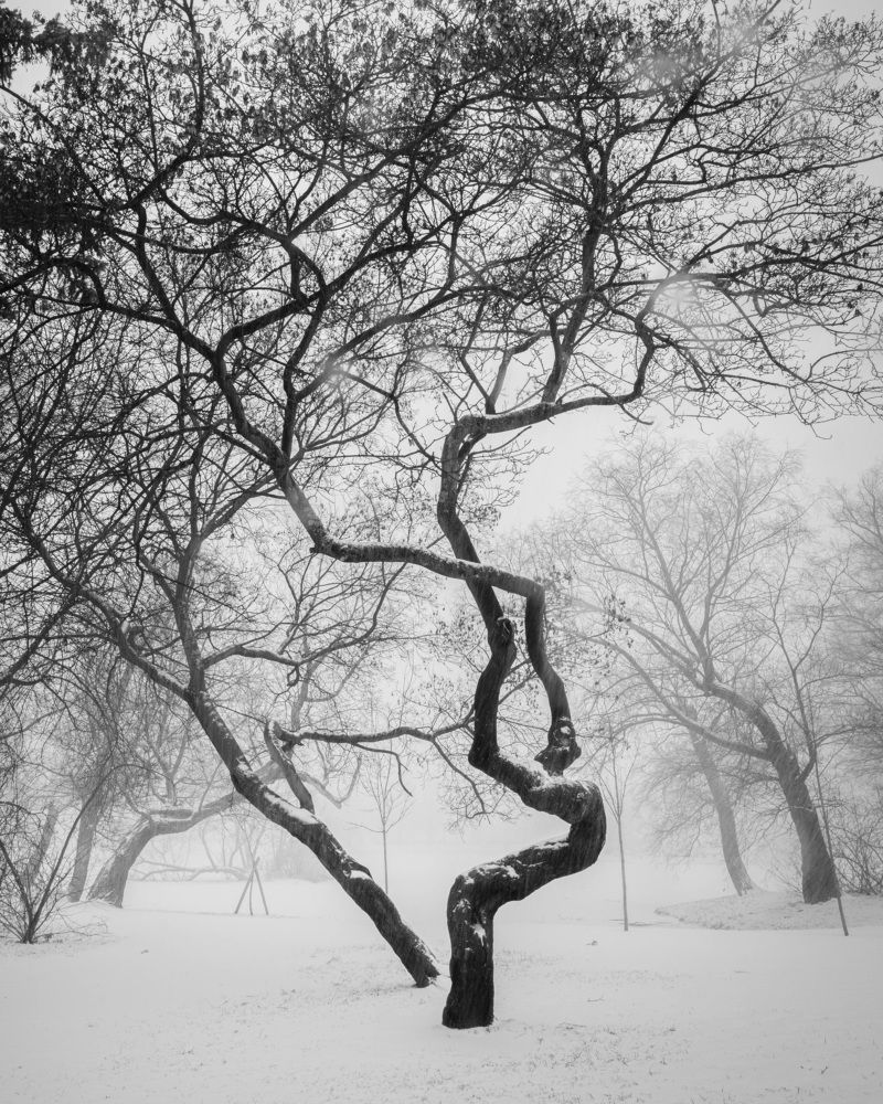 Photograph by Евгений Волосков