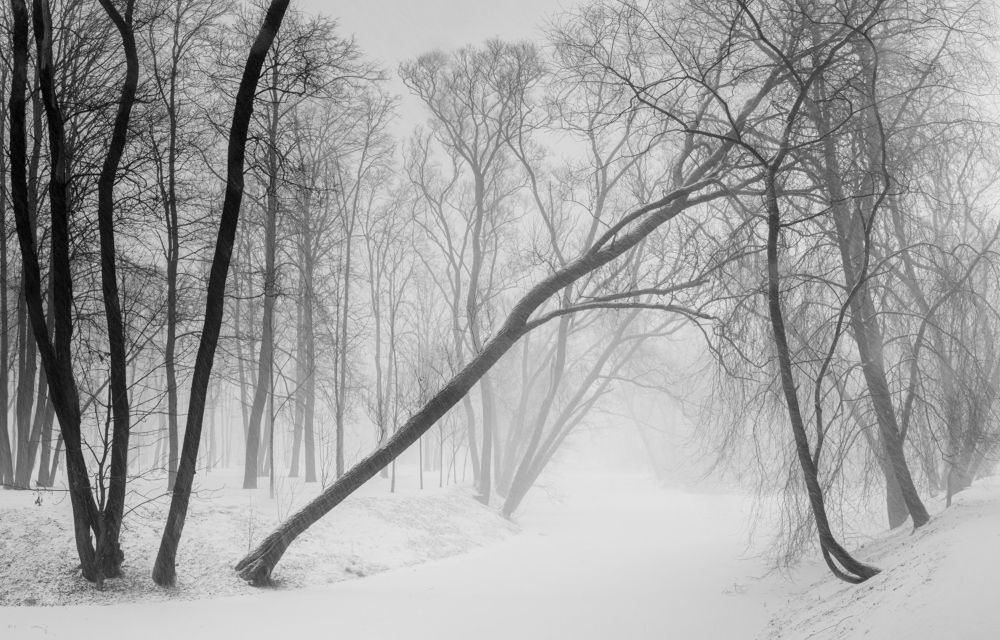 Photograph by Евгений Волосков