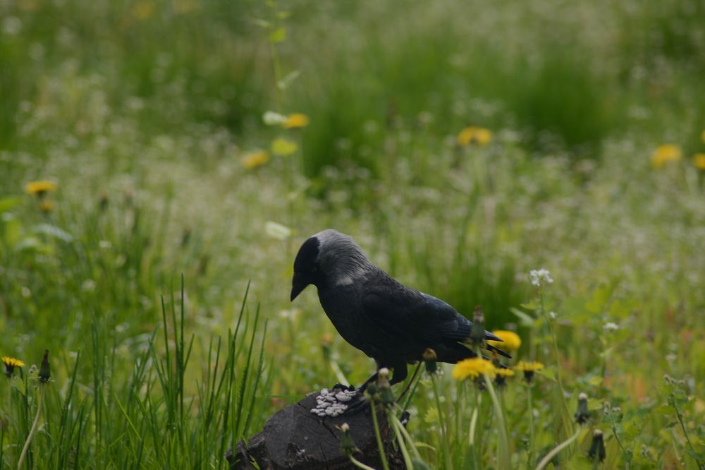 Photograph by Ольга Истомина